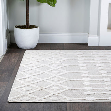 Peralta Moroccan Diamond Indoor/outdoor Area Rug